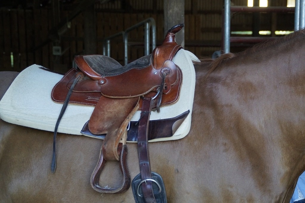 Où faire de la randonnée à cheval ?